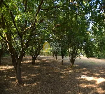 Residential 1000m<sup>2</sup> for sale photo 3