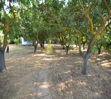 Residential 1000m<sup>2</sup> for sale photo 5