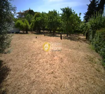 Residential 1000m<sup>2</sup> for sale photo 6