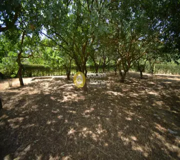 Residential 1000m<sup>2</sup> for sale photo 7