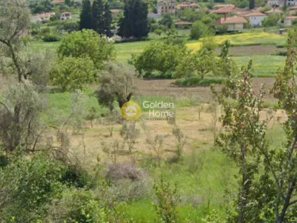 Parcel 3160m<sup>2</sup> for rent photo 3679385