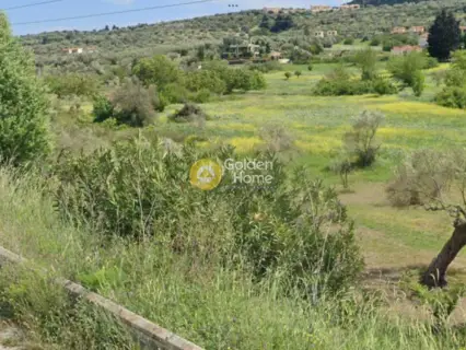 Parcel 3160m<sup>2</sup> for rent photo 3679386