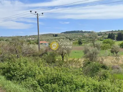 Parcel 3160m<sup>2</sup> for rent photo 3679395