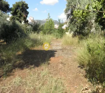 Οικιστικό 397τ.μ. προς πώληση φωτογραφία 11