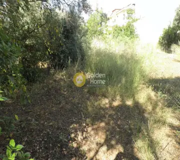 Οικιστικό 397τ.μ. προς πώληση φωτογραφία 7
