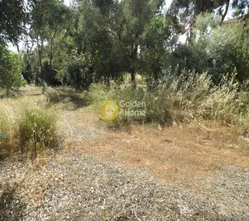 Οικιστικό 397τ.μ. προς πώληση φωτογραφία 1