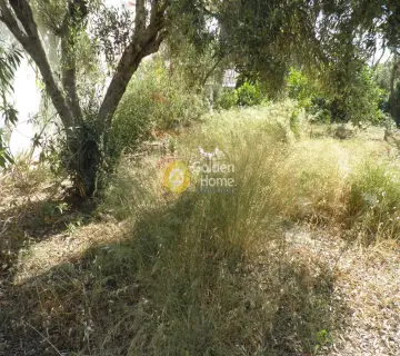 Οικιστικό 397τ.μ. προς πώληση φωτογραφία 5