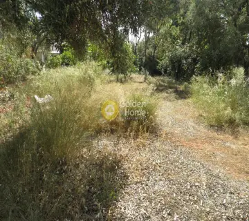 Οικιστικό 397τ.μ. προς πώληση φωτογραφία 6
