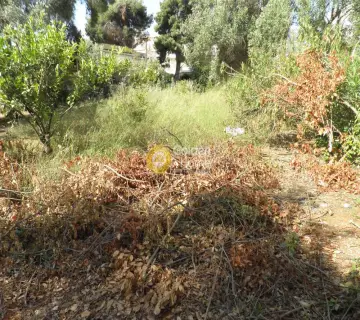 Οικιστικό 397τ.μ. προς πώληση φωτογραφία 3