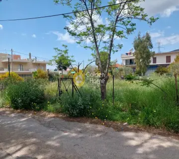 Οικιστικό 295τ.μ. προς πώληση φωτογραφία 3684853