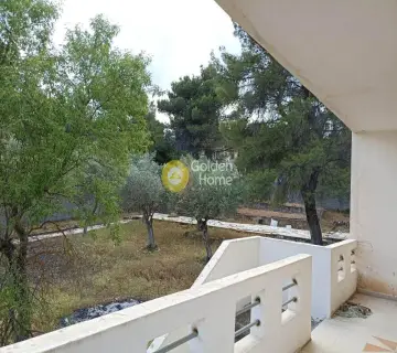 Μονοκατοικία 191τ.μ. προς πώληση φωτογραφία 3677814
