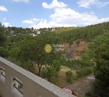 Μονοκατοικία 191τ.μ. προς πώληση φωτογραφία 3677823