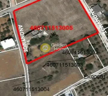 Golden Home Property Image