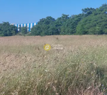 Professional Plot 9000m<sup>2</sup> for sale photo 2