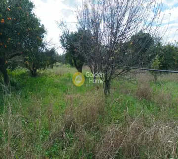 Residential 8750m<sup>2</sup> for sale photo 2