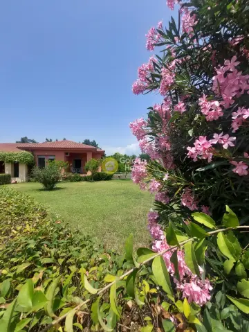 House 168m<sup>2</sup> for sale photo 1