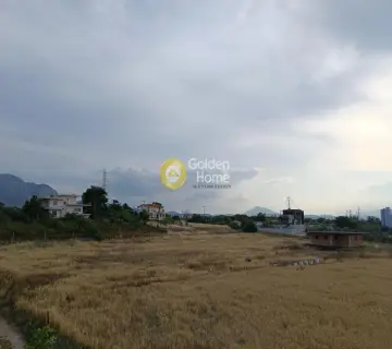 Golden Home Property Image