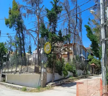 Μονοκατοικία 550τ.μ. προς πώληση φωτογραφία 2
