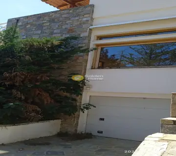 Μονοκατοικία 550τ.μ. προς πώληση φωτογραφία 3