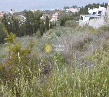 Residential 800m<sup>2</sup> for sale photo 4