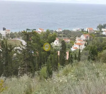 Residential 800m<sup>2</sup> for sale photo 5