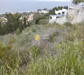 Residential 800m<sup>2</sup> for sale photo 6