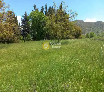Residential 3800m<sup>2</sup> for sale photo 3693283