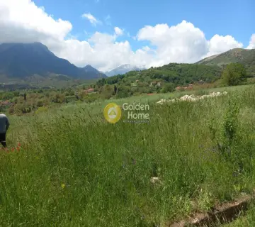 Residential 3800m<sup>2</sup> for sale photo 3693283
