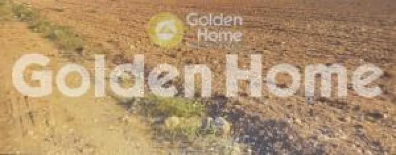 Έκταση 13300τ.μ. προς πώληση φωτογραφία 5306343