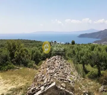 Residential 2270m<sup>2</sup> for sale photo 3701180