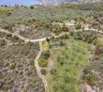 Residential 2285m<sup>2</sup> for sale photo 3701252