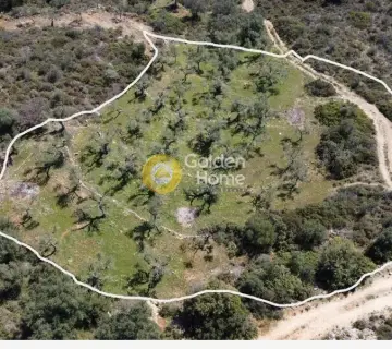 Residential 2285m<sup>2</sup> for sale photo 3701252