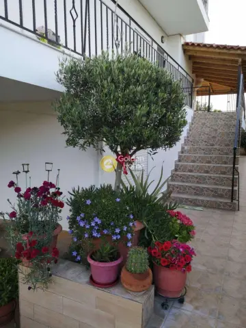 Floor Maisonette 70m<sup>2</sup> for rent photo 71