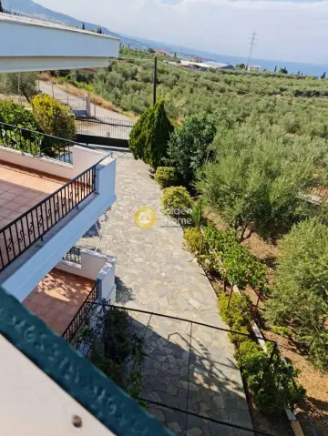 Μονοκατοικία 153τ.μ. προς πώληση φωτογραφία 12