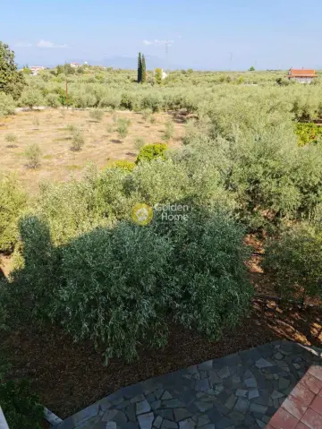 House 153m<sup>2</sup> for sale photo 5