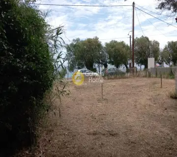 Residential 1000m<sup>2</sup> for sale photo 1
