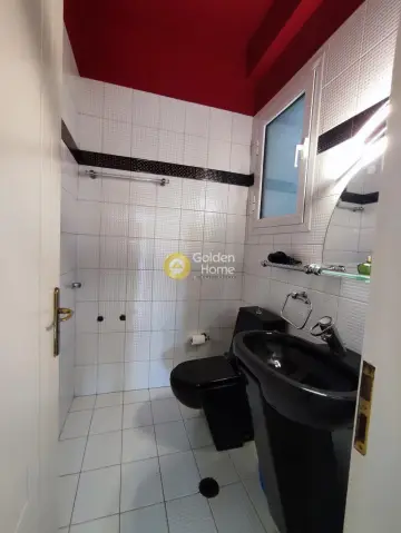 Μονοκατοικία 245τ.μ. προς ενοικίαση φωτογραφία 19