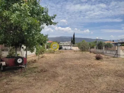 Μονοκατοικία 385τ.μ. προς πώληση φωτογραφία 23