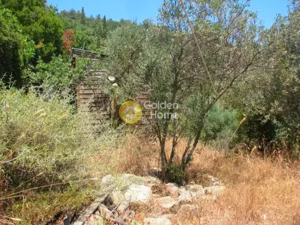 Residential 1287m<sup>2</sup> for sale photo 3