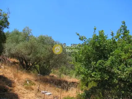Residential 1287m<sup>2</sup> for sale photo 6