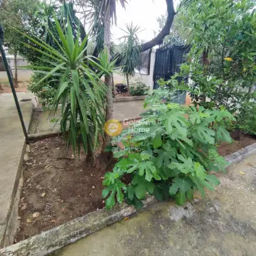 House 60m<sup>2</sup> for rent photo 2