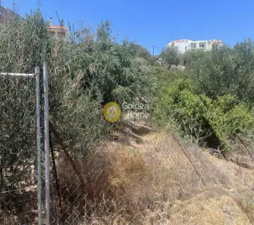 Residential 486m<sup>2</sup> for sale photo 4319106
