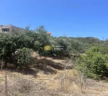 Residential 486m<sup>2</sup> for sale photo 4319110