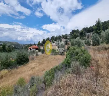Residential 1326m<sup>2</sup> for sale photo 3713462