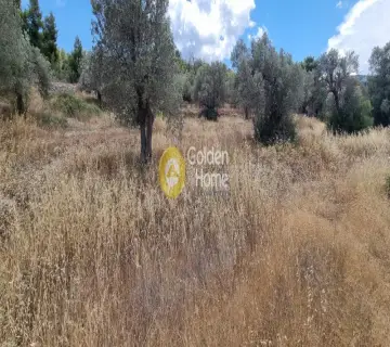 Residential 1326m<sup>2</sup> for sale photo 3713464