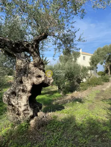Μεζονέτα Εφαπτόμενη 128τ.μ. προς πώληση φωτογραφία 7