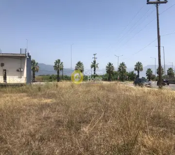 Golden Home Property Image