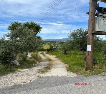 Parcel 5000m<sup>2</sup> for sale photo 3712356