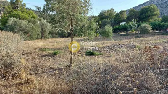 Residential 918m<sup>2</sup> for sale photo 8