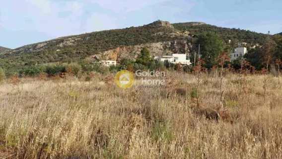 Residential 918m<sup>2</sup> for sale photo 9